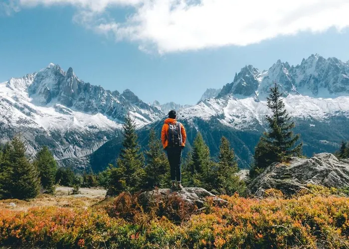 Chamois Blanc 2b - Comfortable Mont Blanc Haven Апартаменты *