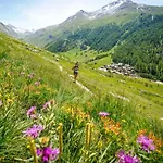 Chamois Blanc 2b - Comfortable Mont Blanc Haven Chamonix