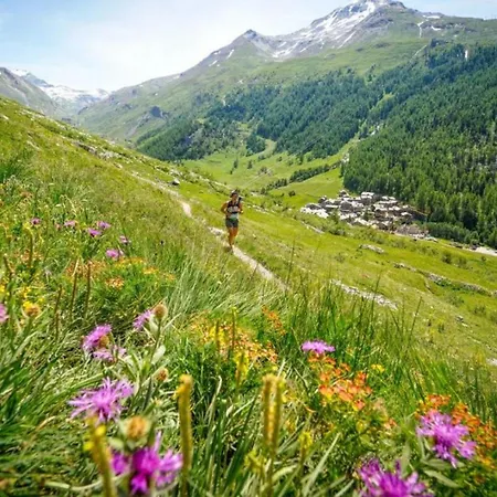 Chamois Blanc 2b - Comfortable Mont Blanc Haven Chamonix