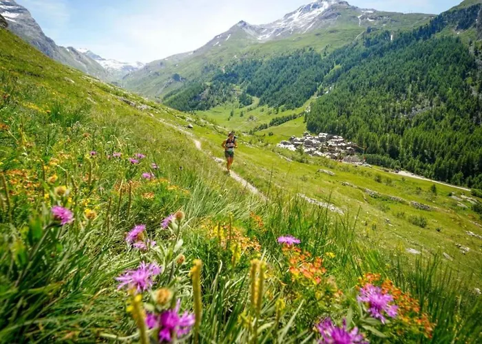 Chamois Blanc 2b - Comfortable Mont Blanc Haven Chamonix