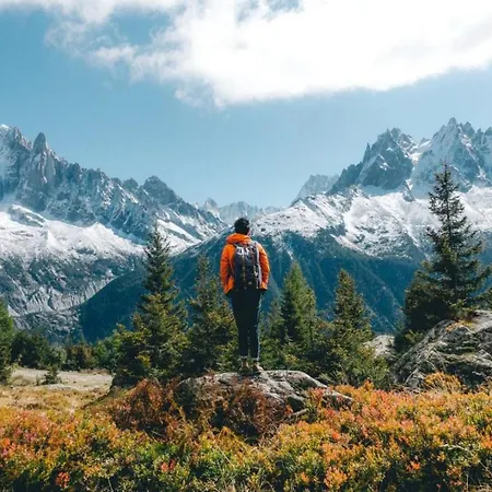 Chamois Blanc 2b - Comfortable Mont Blanc Haven 公寓 *